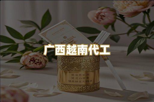 广西越南代工